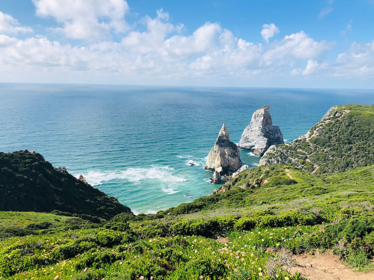 A panoramic view of the coastline features rugged rock formations rising from the clear blue waters. Lush greenery blankets the foreground, while waves gently break against the shore, creating a serene atmosphere under a partly cloudy sky.