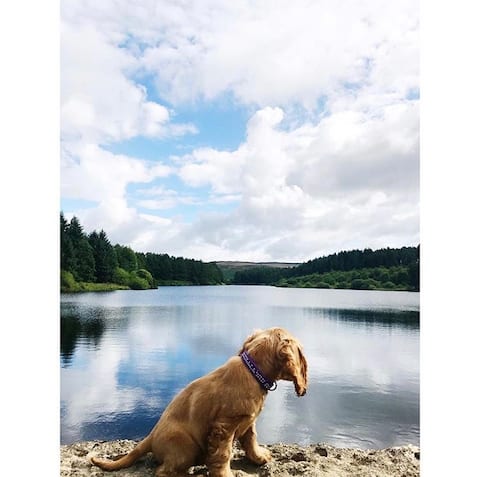 Stanley Cottage, in the heart of Osmotherley