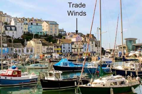 Tradewinds cottage, Brixham harbour and sea views
