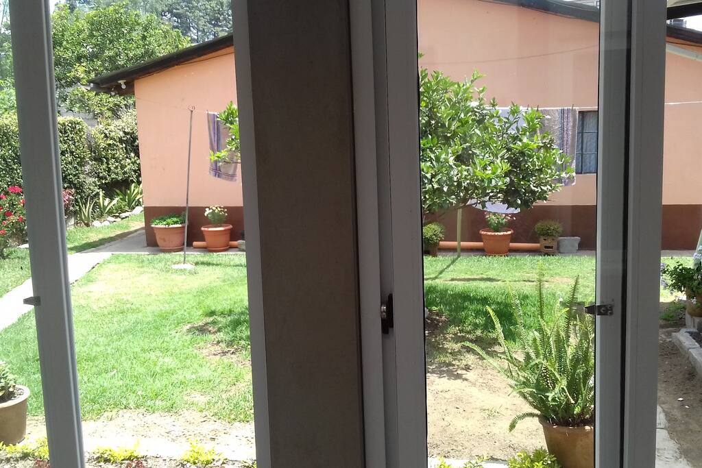 Vista del jardin