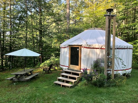 Sapling Yurt