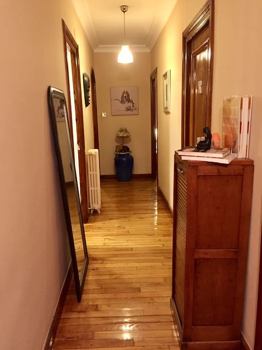 Hall/ pasillo distribuidor