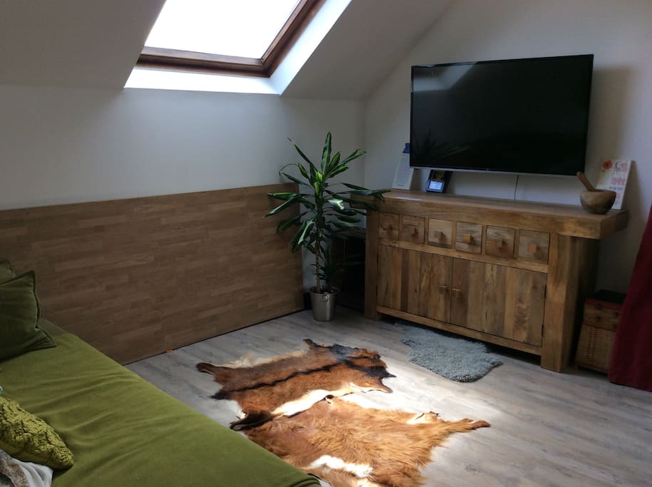 Large tv. Large double sofa bed.