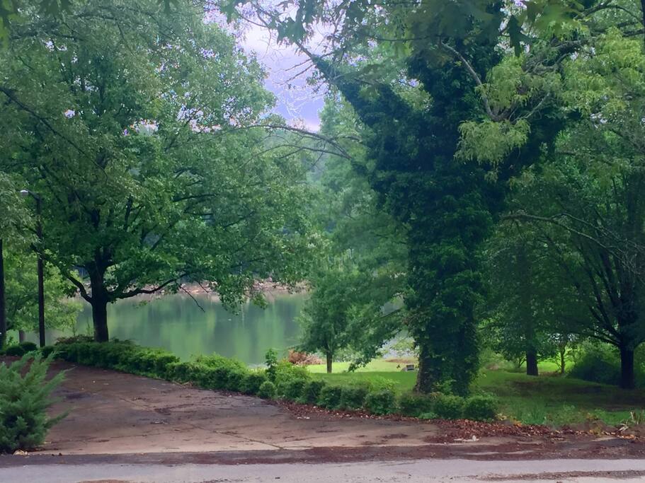 View from the front porch!
