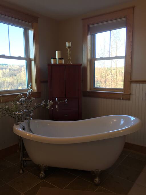 Master Bathroom Tub