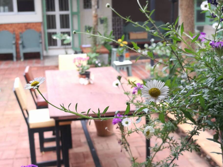 1 Table restaurant