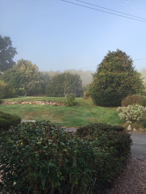 Garden view.