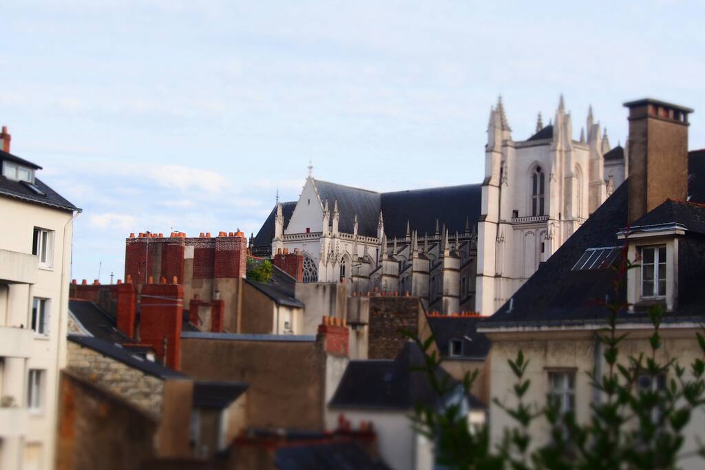 Vue cathédrale