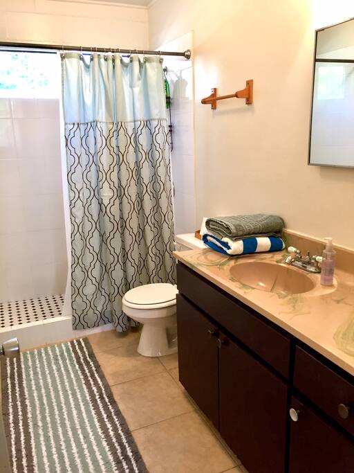 Spacious bathoom/shower