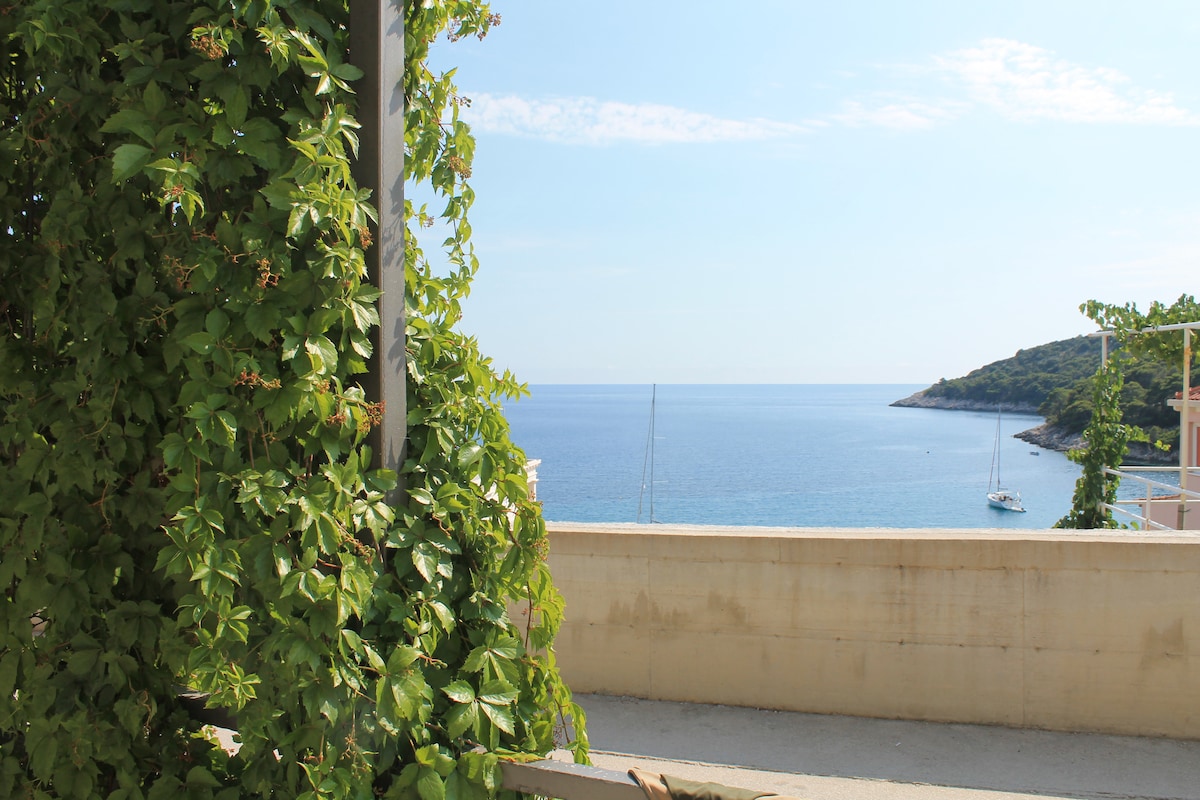 The image captures a serene coastal view featuring calm blue waters and a distant shoreline. Lush green vines frame the foreground, adding a touch of nature to the scene. A few sailboats are visible on the water, enhancing the tranquil atmosphere.