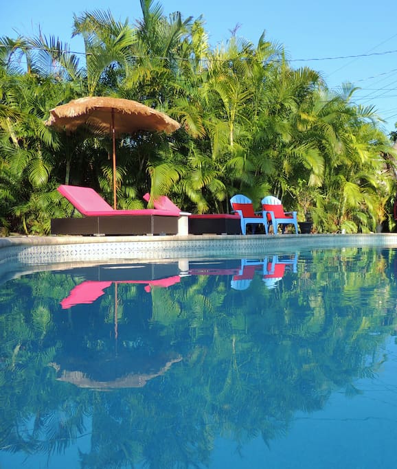 Huge sparkling 'saltwater' swimming pool