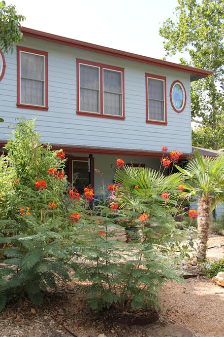 There's always something blooming in the front yard