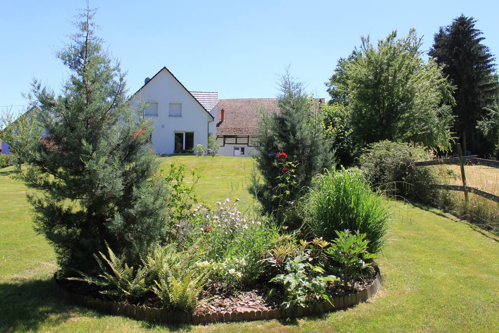 Le jardin