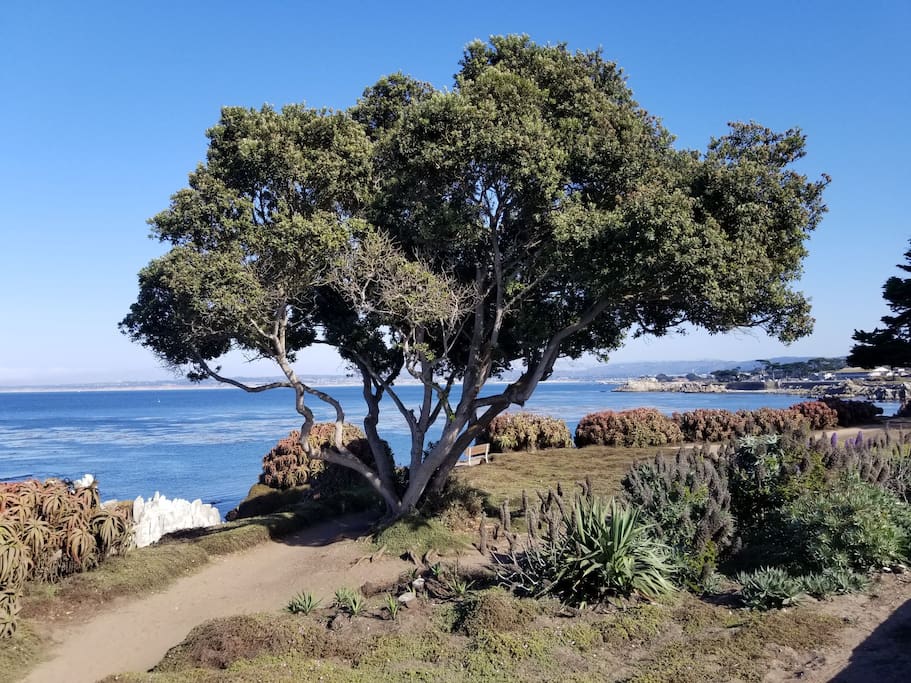 View as you travel along Sunset Drive... just a few minutes drive from the cottage.