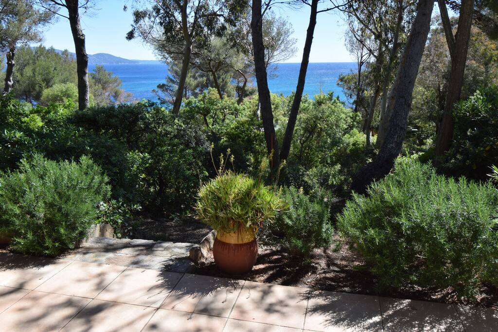 Vue depuis la terrasse (avril 2017)