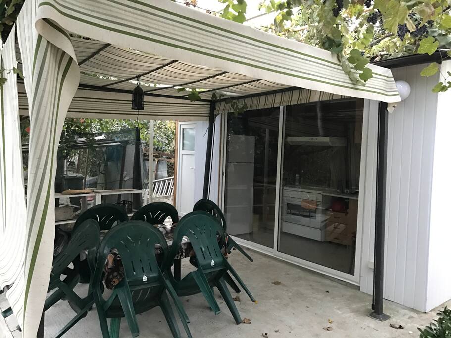 Backyard terrace