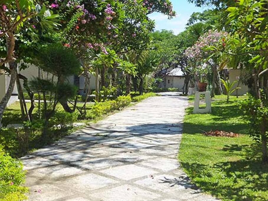 Walking Path