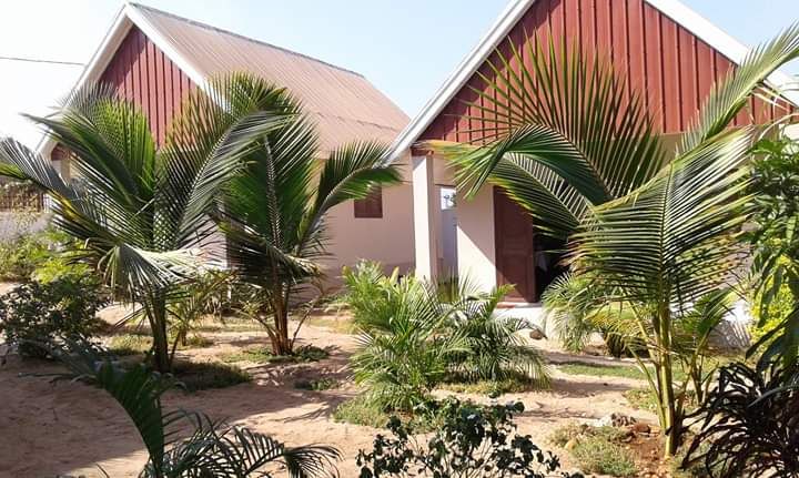 Two charming cottages with red wooden exteriors are surrounded by lush palm trees and green foliage. A sandy area is visible between the cottages, enhancing the natural setting.