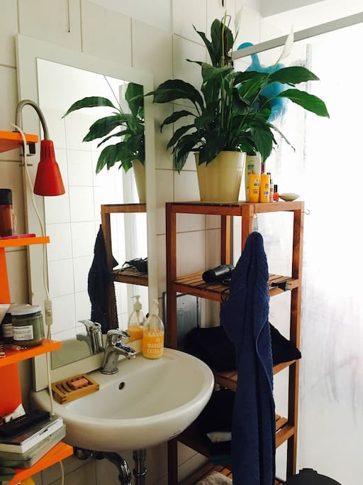 bathroom with a shower