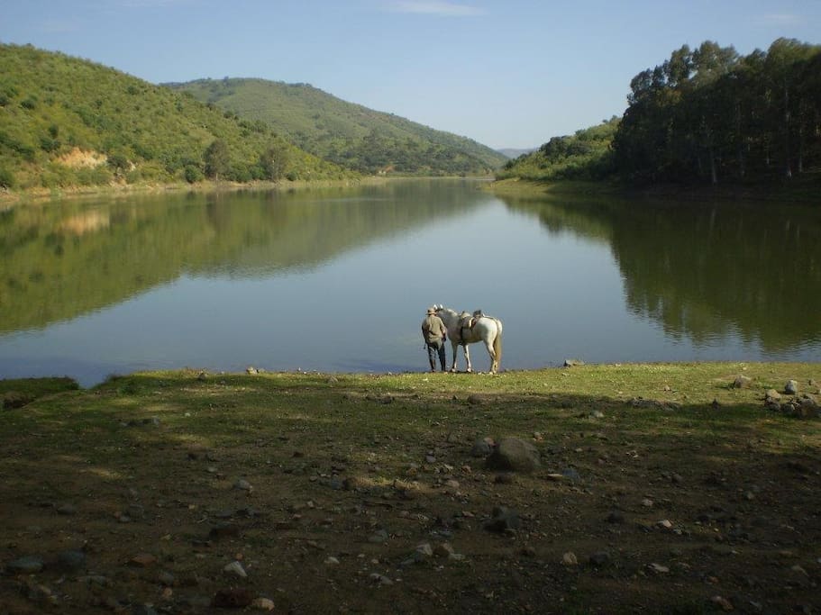 La rivera del Cala se remansa en los Praditos.