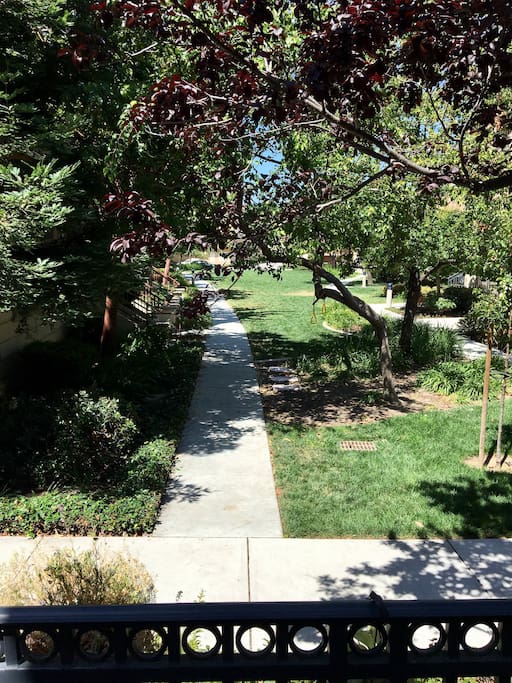View from outdoor Patio - A great place to relax.