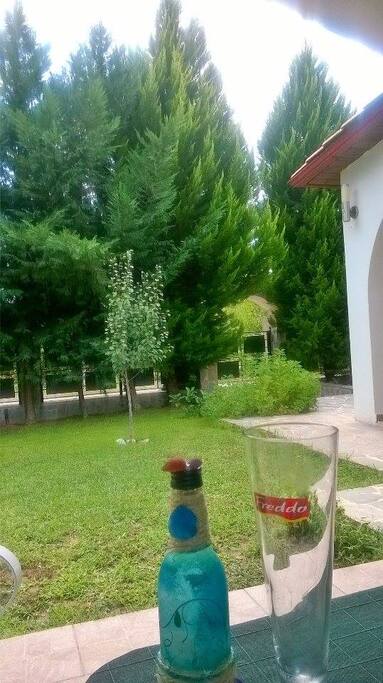 the garden
