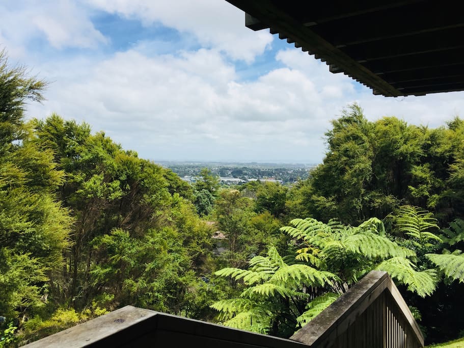 Native bush view over Southern Auckland,stunning.