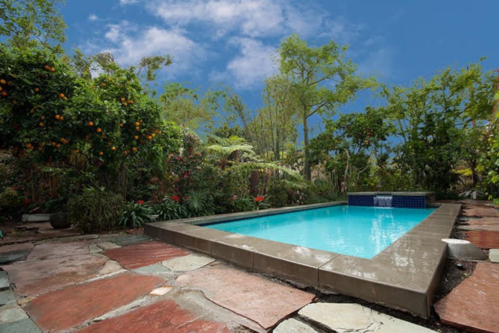 Nestled under green trees, the sparkling swimming pool is perfect for cooling off after afternoon strolls on Melrose Avenue.