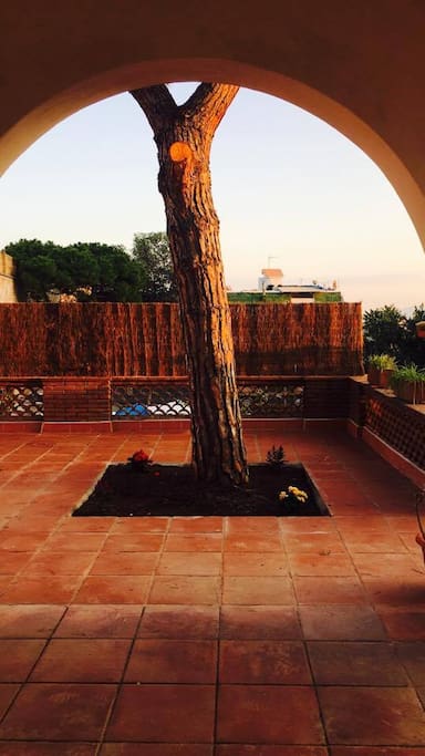 terraza amplia y agradable