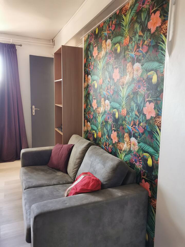 Le Studio Micha - Nîmes