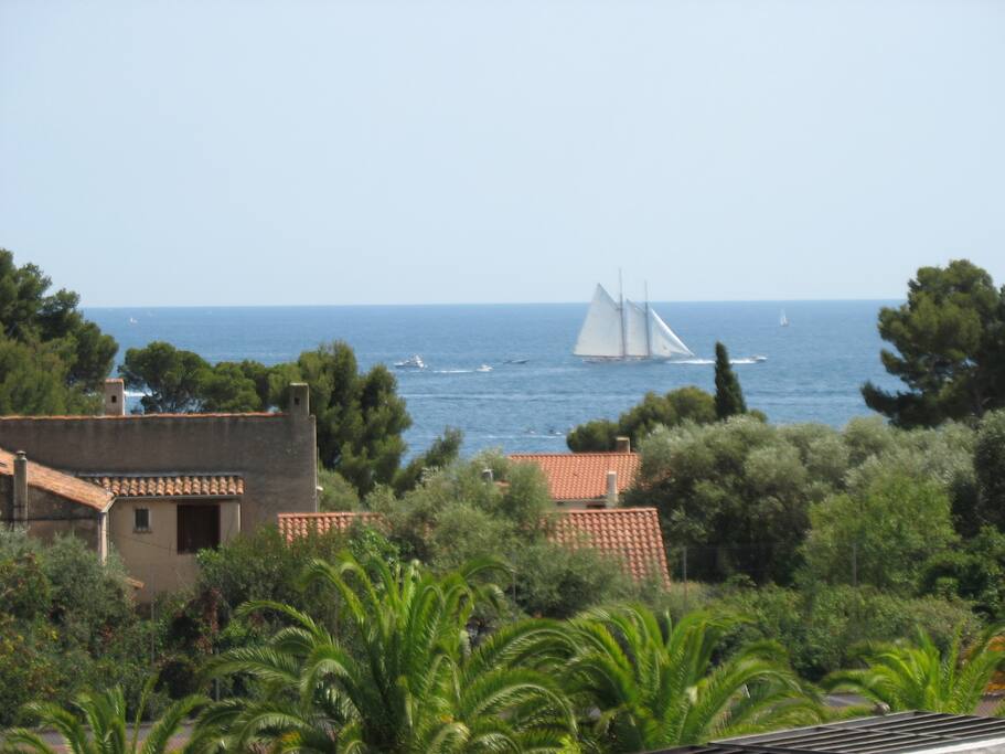 vue mer depuis terrasse.Tennis derrière palmiers