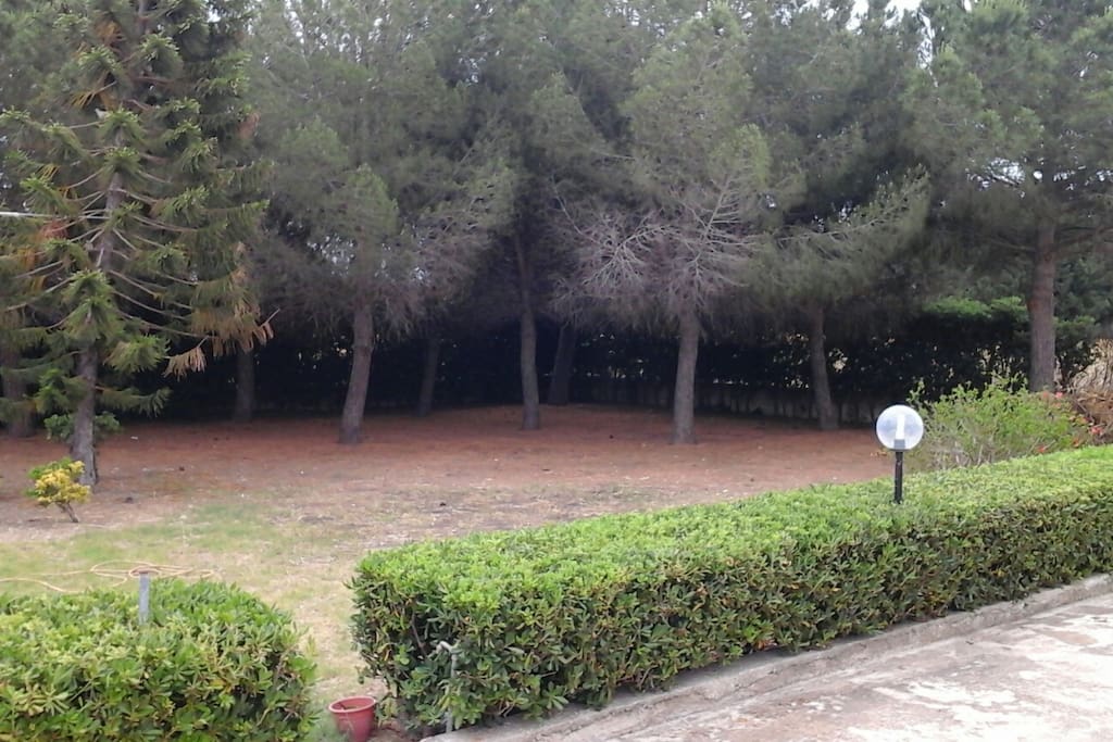 giardino