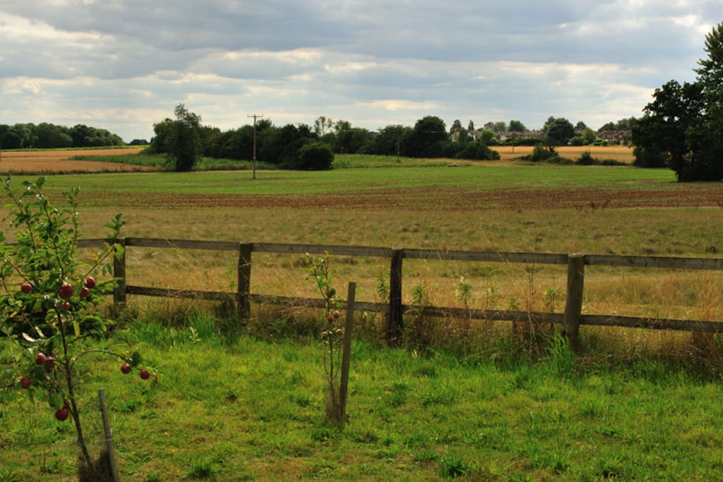 View of the fields.