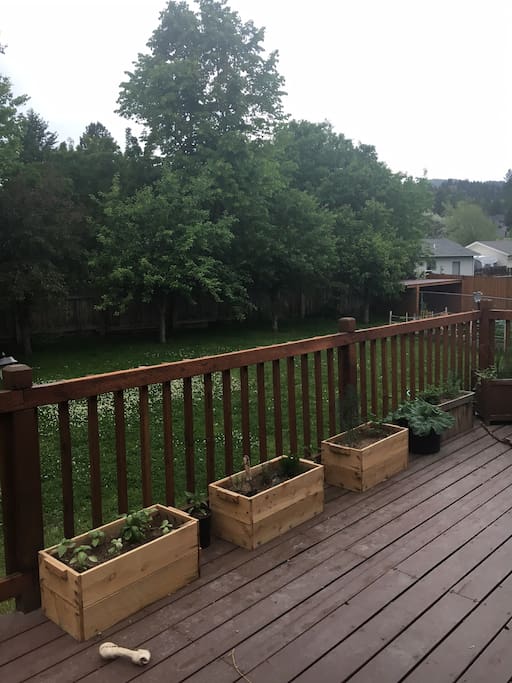 Back Deck