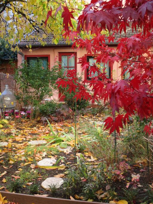 Couleurs flamboyantes en automne