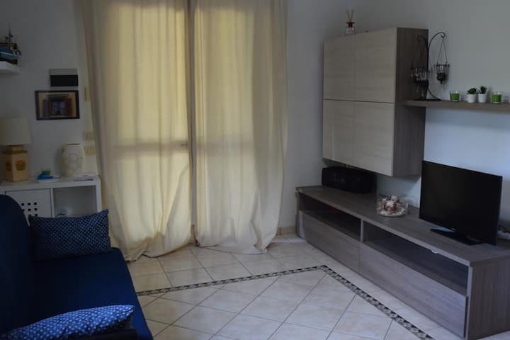 Მისაღები ოთახი (გასაშლელი დივნით)