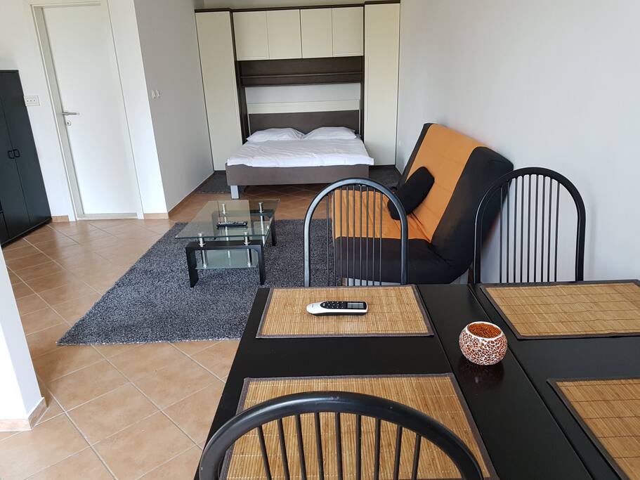 Living area of the spacious 40m2 apartment with big terrace
