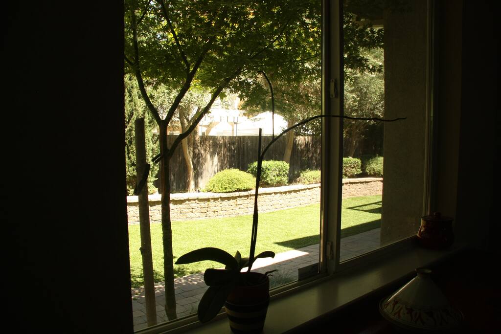 Backyard view from dining room
