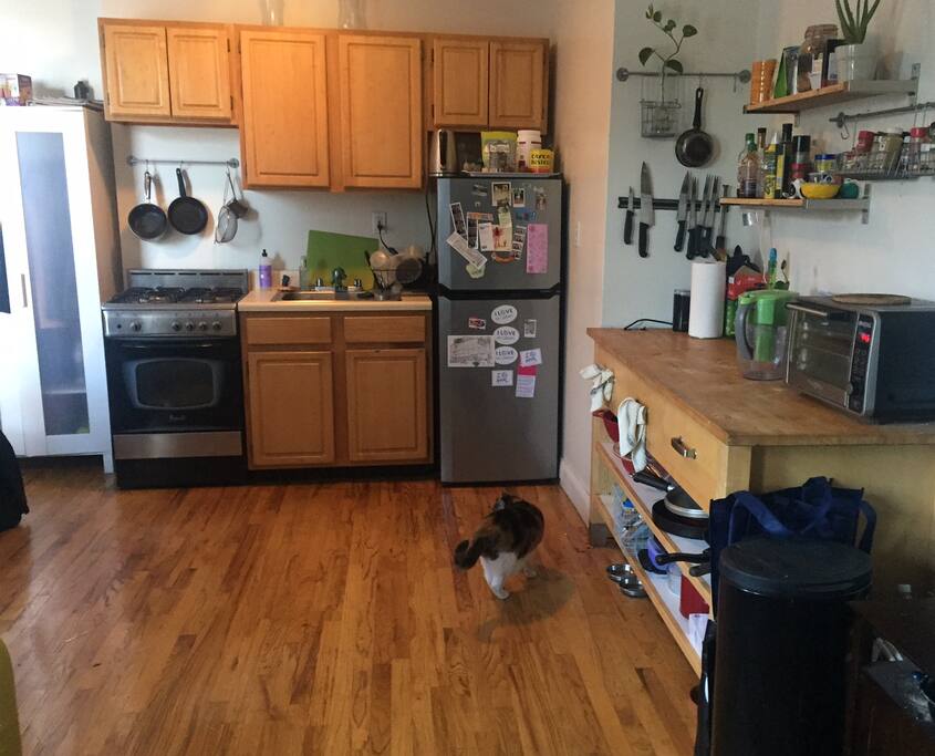 Kitchen area