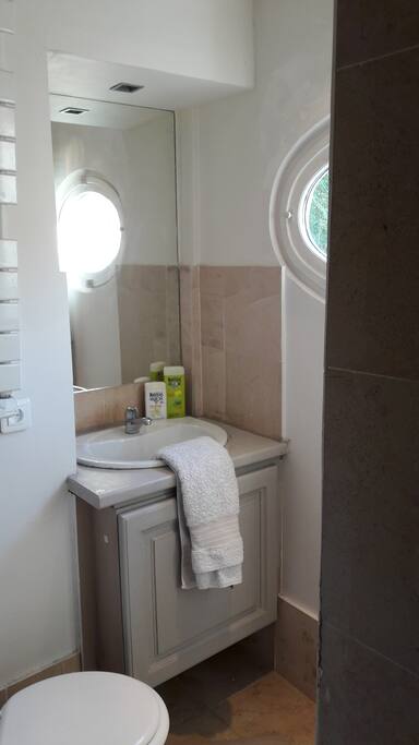 Salle de bains avec douche à l'italienne et wc