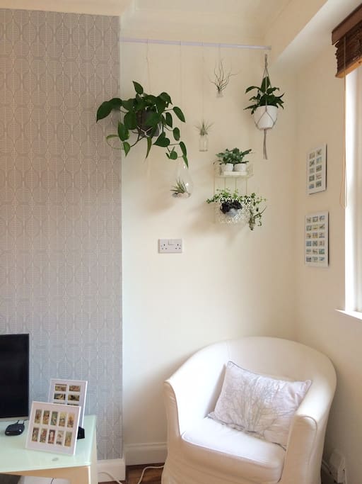 A calm 'reading' corner with overhanging greenery.