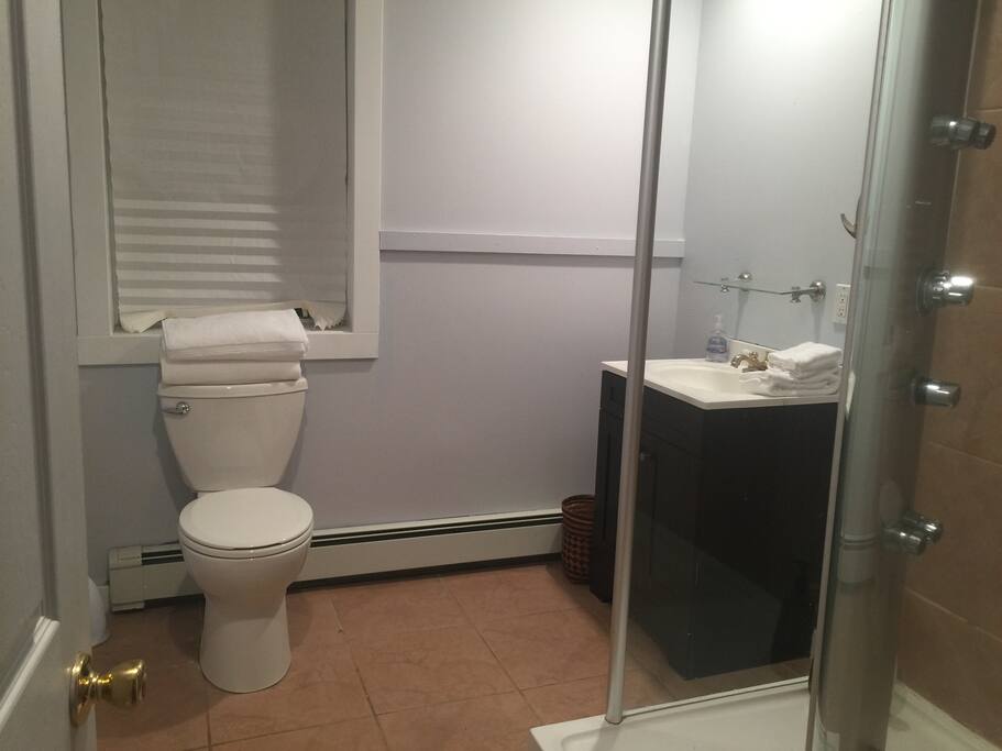 Brand new bathroom with Jacuzzi shower.