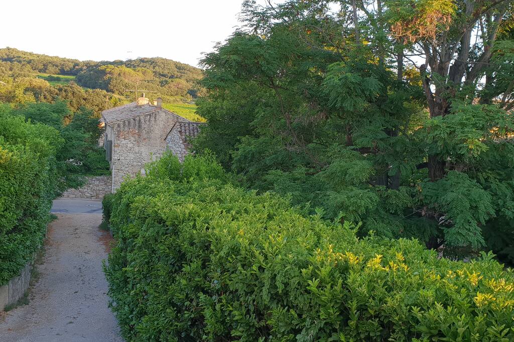 chemin d'accès, belle vue