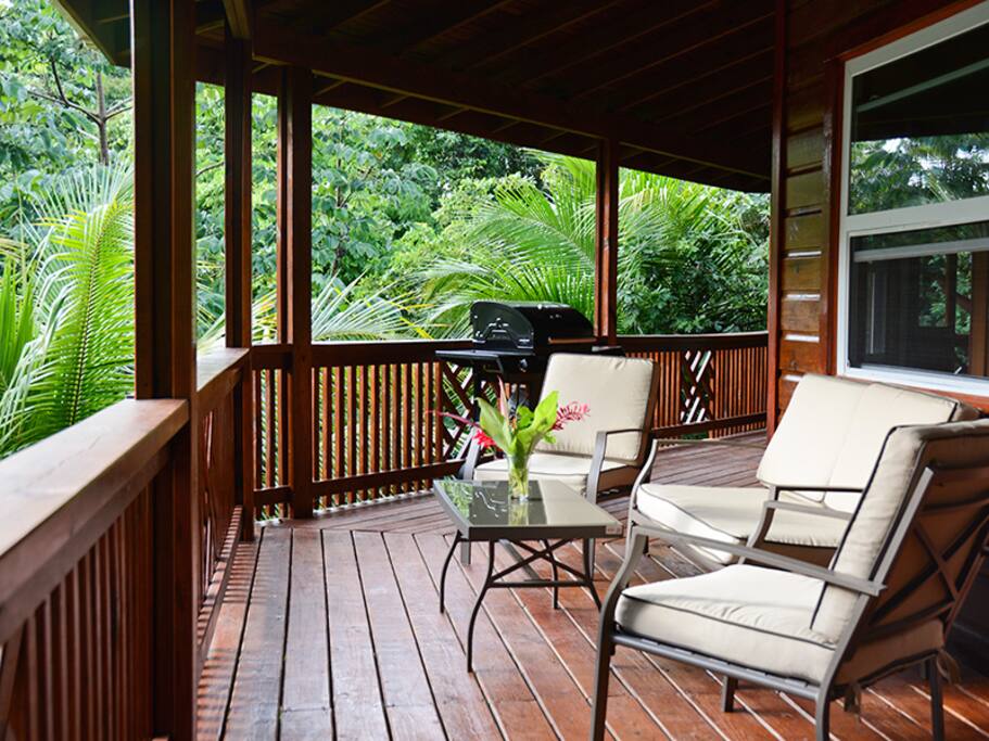 Kick back in the afternoon sun and watch Iguana`s in the trees