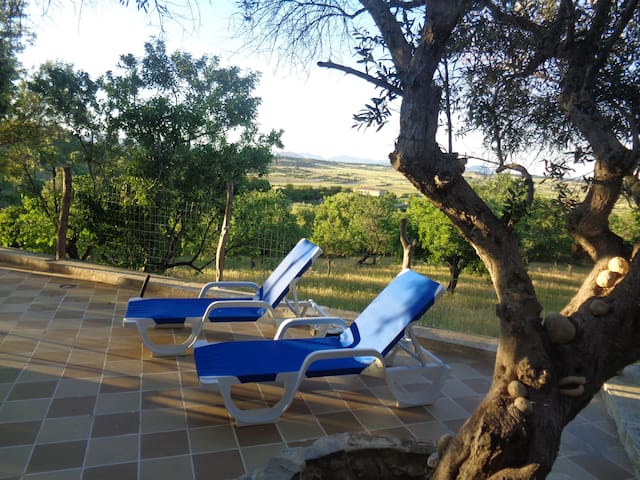 Cal Dimoni Petit. Natur nahe dem Meer.