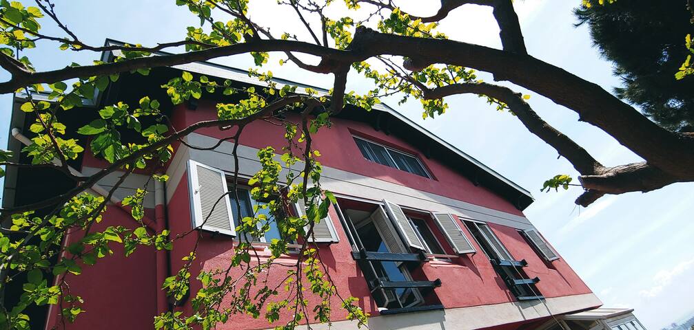 LuX Villa PrV DragosPark Garden Pool Pine Sea Sun gallery image 4