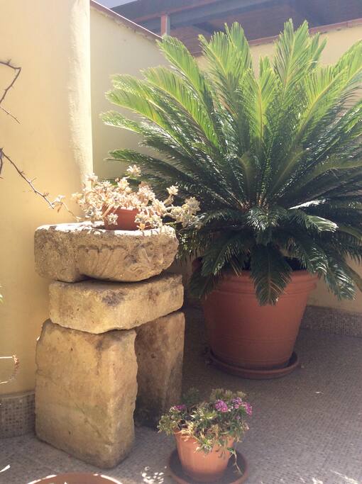 Terrazza, particolare