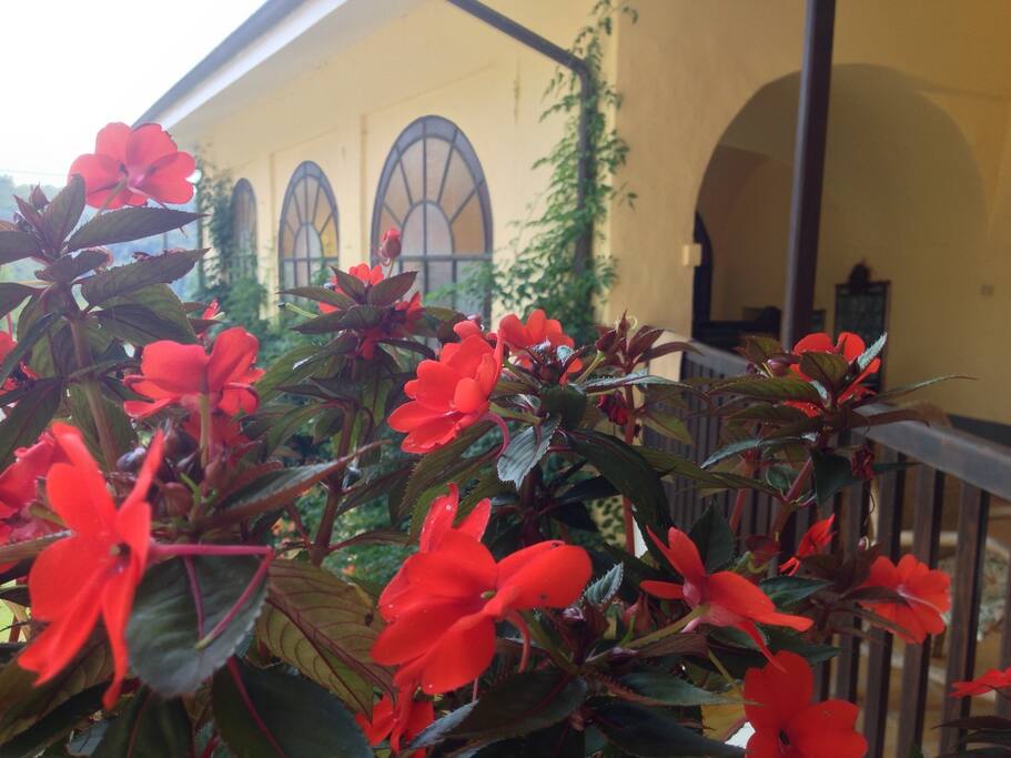 Terrazza fiorita