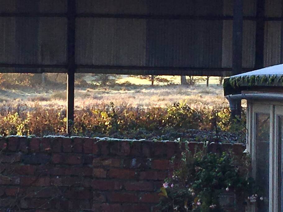 View from the kitchen window