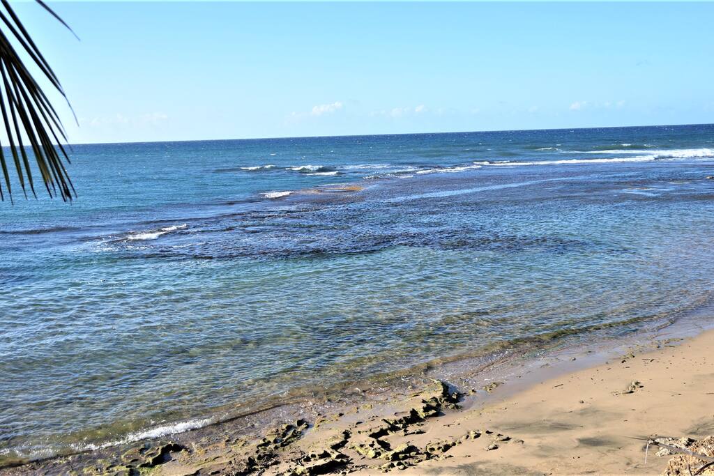 Table Rock Beach - Behind house